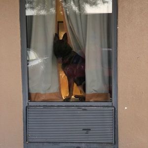 Meet your Posher, Derek